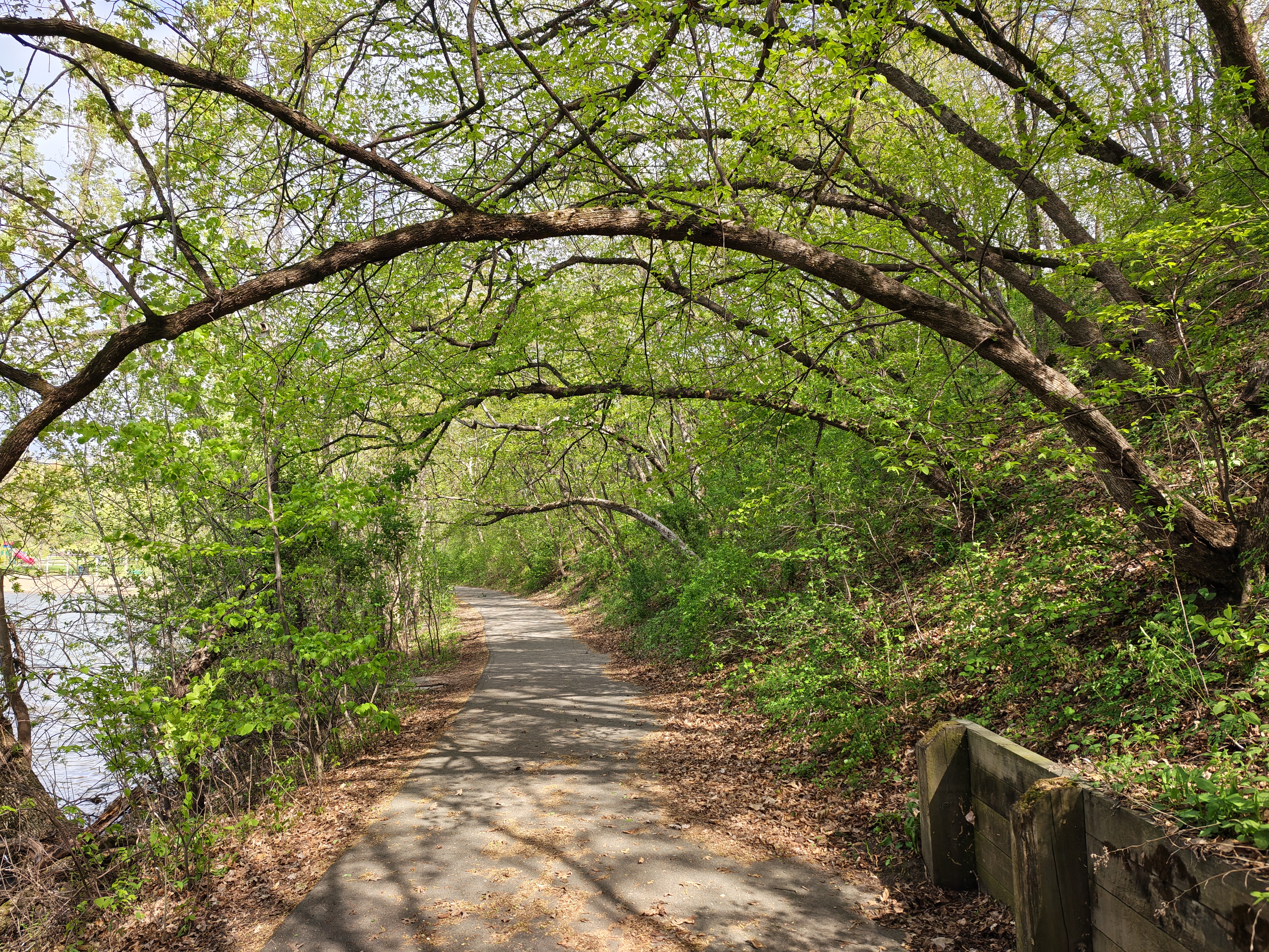 Trail with shadows