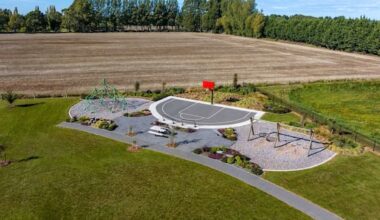 Too many parks? Deputy mayor questions cost of green space