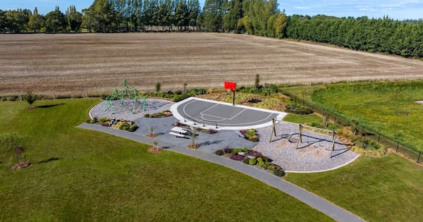 Too many parks? Deputy mayor questions cost of green space