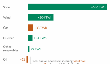 Low-carbon electricity sources grew faster than demand in 2025, pushing fossil fuels into decline