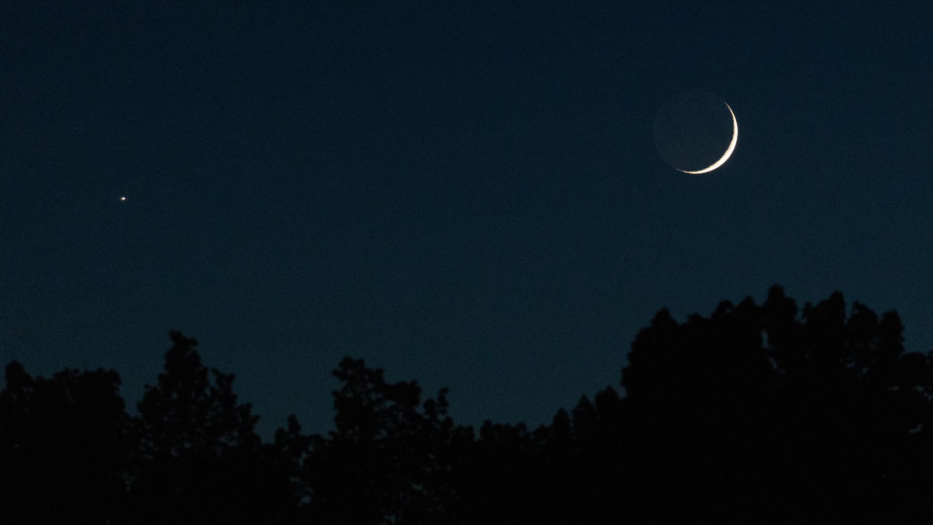 A crescent moon shines above silhouetted treetops in a dark blue evening sky as a bright star-like planet shines to its left.