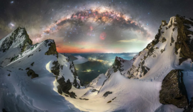 One remarkable photo | Otago Daily Times Online News