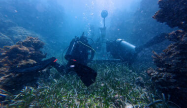 How underwater speakers are helping revive coral reefs devastated by climate change