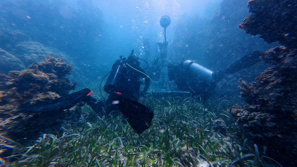 How underwater speakers are helping revive coral reefs devastated by climate change