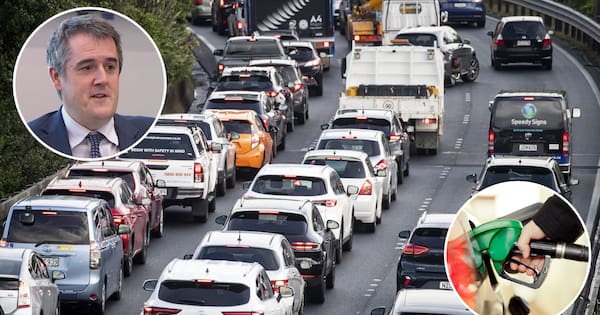 Fuel price surge hits transport fund, project delays feared