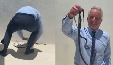 RFK Jr snatches snakes in latest viral animal encounter