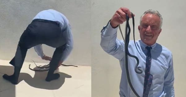 RFK Jr snatches snakes in latest viral animal encounter
