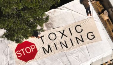 Campaigners 'utterly elated' after Golden Bay mining application declined