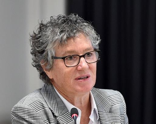 Dunedin council boss Sandy Graham stepping down