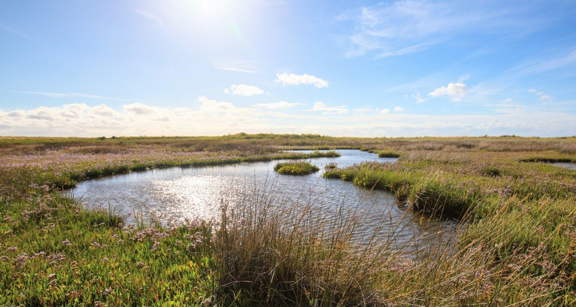 Coastal habitats face a sea-level threat that has been overlooked by climate scientists until now