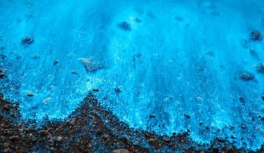 'Absolutely spectacular': Photographer blown away by bioluminesence