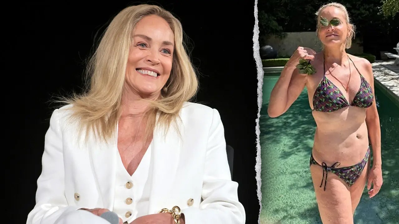 Sharon Stone shares bikini photo as fans say she's 'still got it'