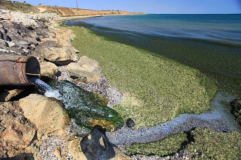 Drainage pipe discharging waste into the sea.
