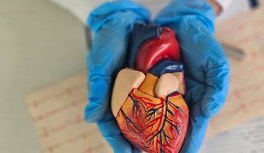 HRS 2026: Medtronic, Boston Scientific and Abbott debut key PFA data