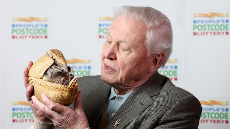Sir David Attenborough holds Inti, an armadillo from Edinburgh Zoo, in 2017.
