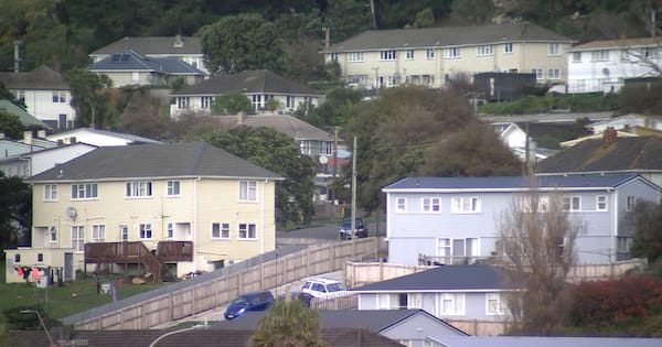 Social housing: Advocates say NZ needs more to fix 'broken' system