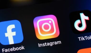 Bill banning under-16s from social media on hold, Stanford confirms