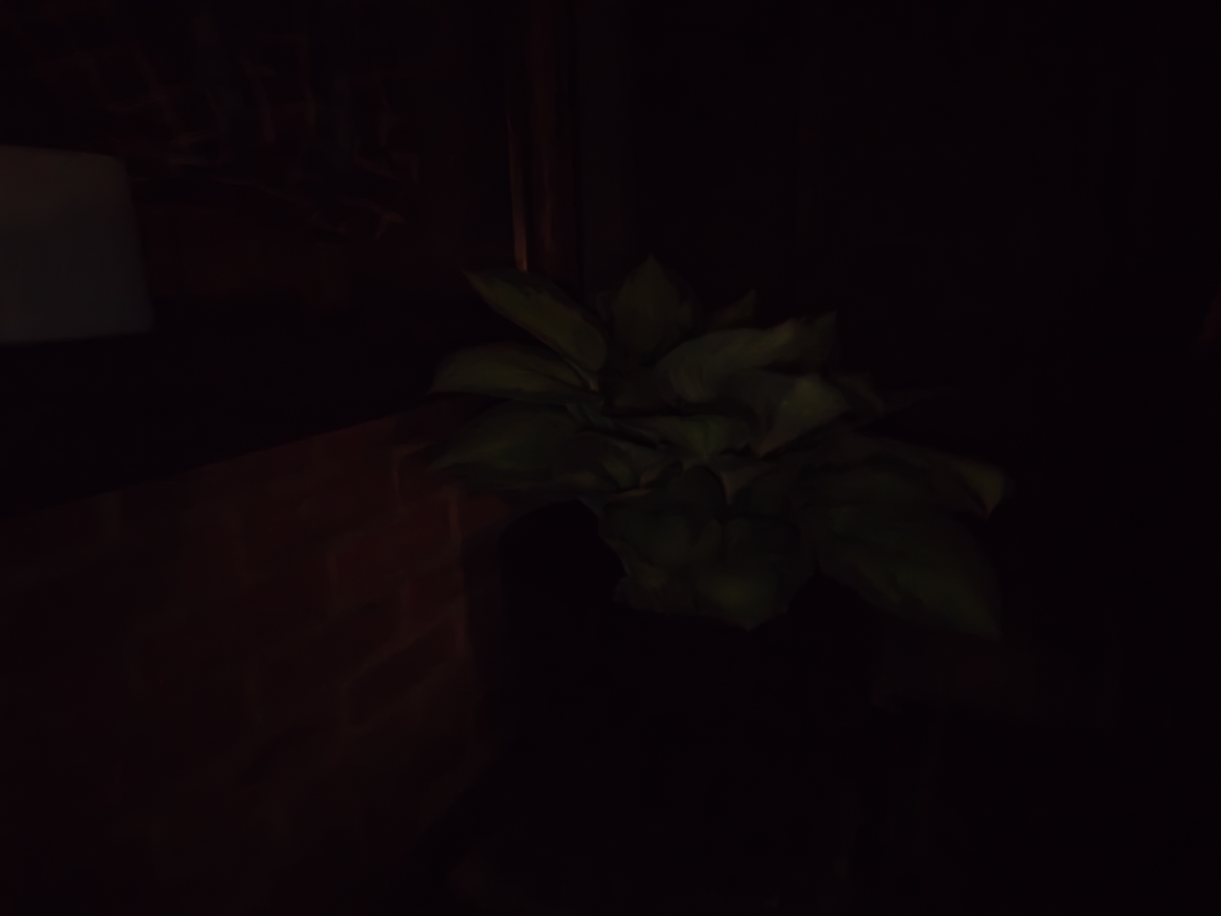 pixel 10 vs nothing phone 4a pro low light shoot out