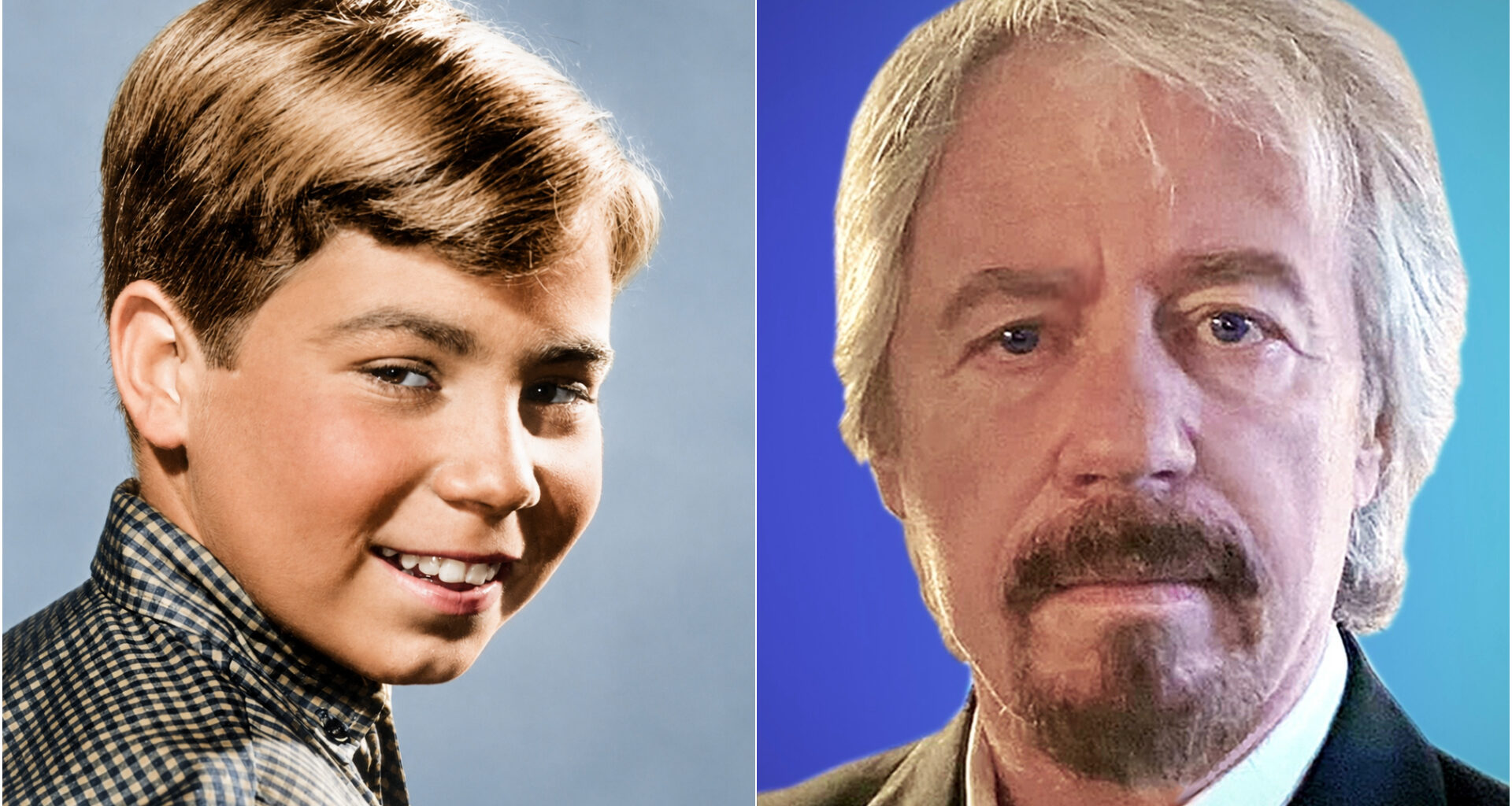 Here's What Happened to Stanley Livingston From 'My Three Sons'