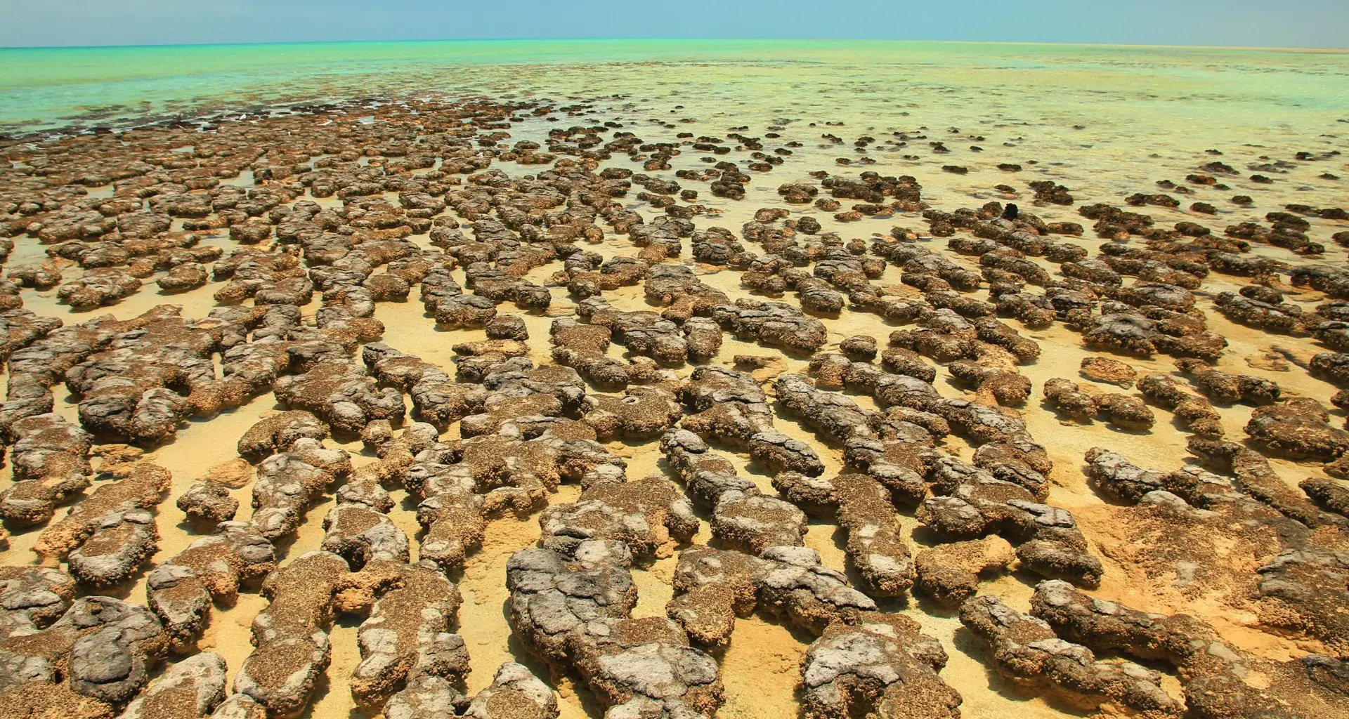 Ancient asteroid craters may have sparked Earth’s oxygen-producing life