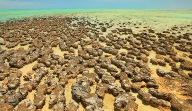 Ancient asteroid craters may have sparked Earth’s oxygen-producing life