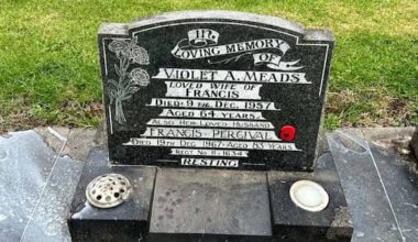 Hundreds of ceramic poppies stolen from Auckland veterans' graves