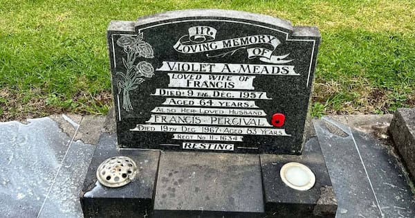 Hundreds of ceramic poppies stolen from Auckland veterans' graves
