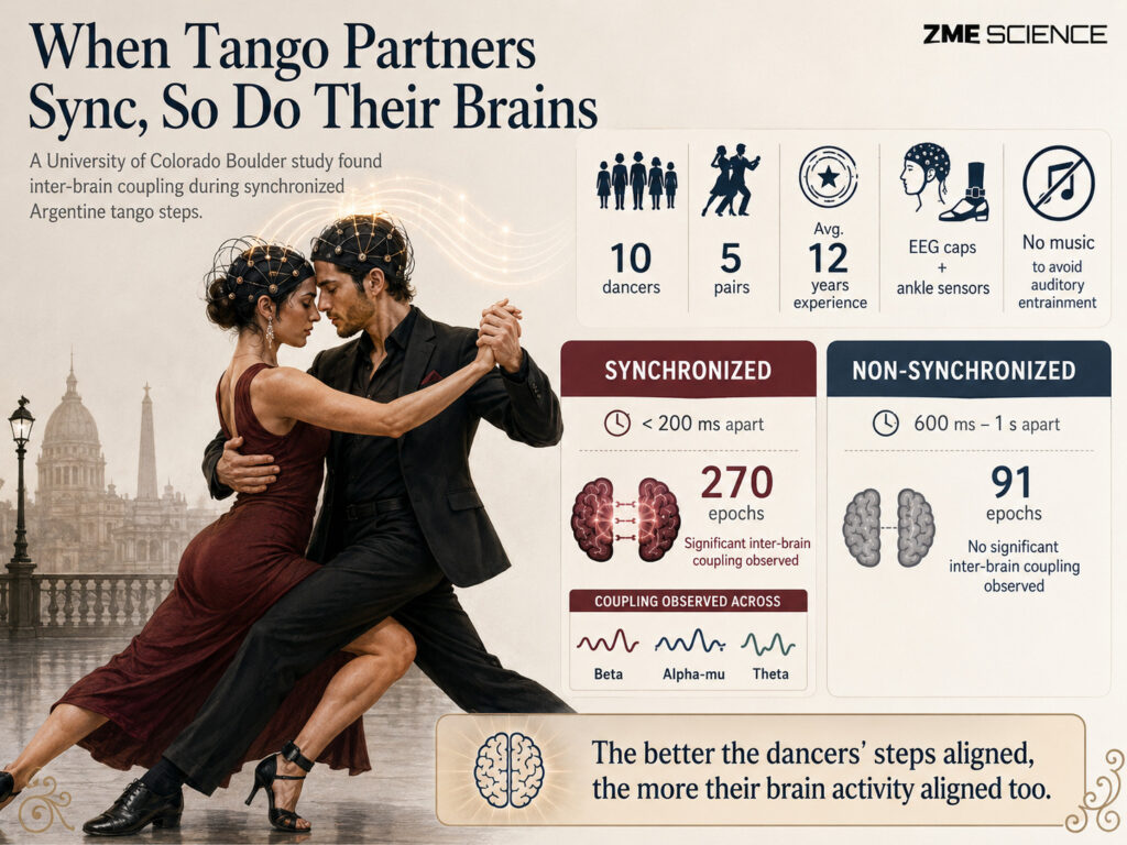 Infographic showing the Study findings