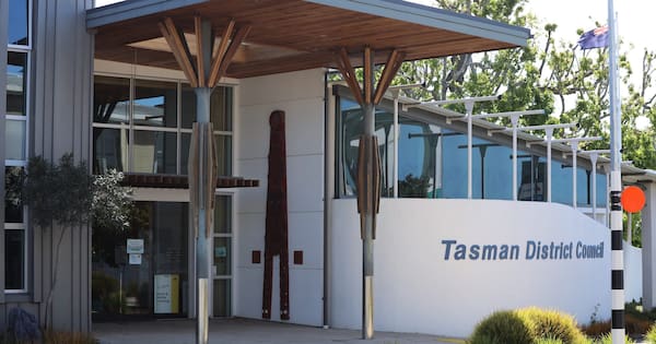 Tasman district councillor criticised for attending 73 meetings online