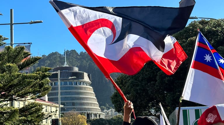 Te Tino Rangatiratanga flag
