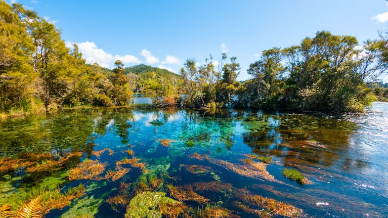 Campaigns have long held concerns about the environmental impacts that gold mining could have on the nearby Te Waikoropupū Springs.