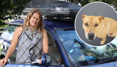 Homeless woman's dog put down despite public offers to pay fees