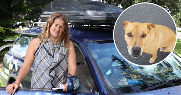 Homeless woman's dog put down despite public offers to pay fees