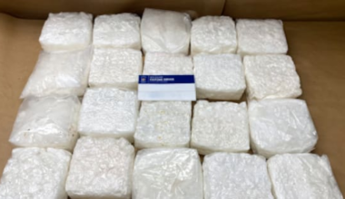 Smuggler caught with meth hidden in tea packets at Auckland Airport jailed