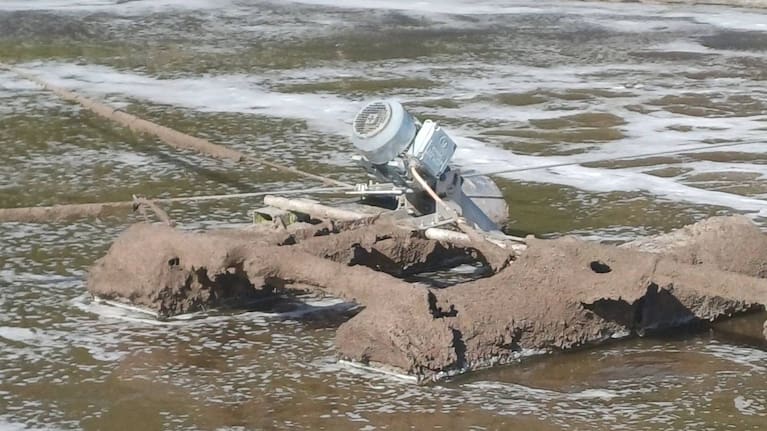 The excessive foam was resulting in scum buildup on aerator machinery and the pool lining, necessitating more cleaning. (Source: Supplied / Tasman District Council)
