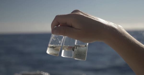 All-female global voyage mapping plastics sets sail in NZ