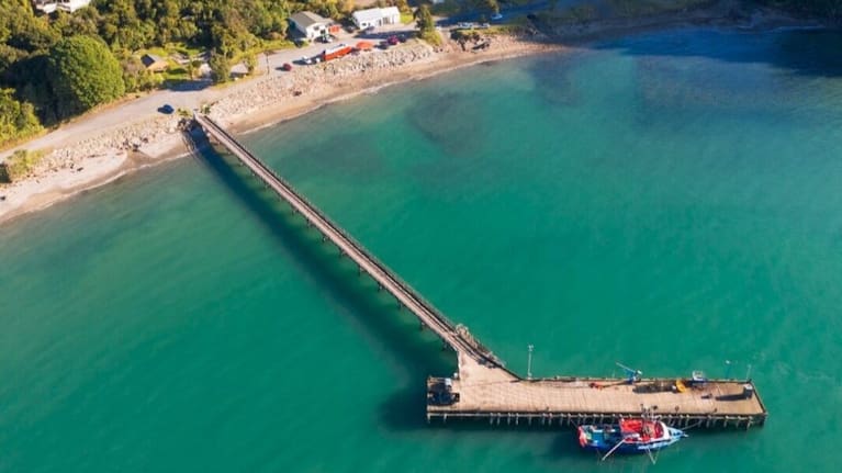 The Jackson Bay Wharf south of Haast, where a new species for the West Coast was first found in February this year. (Source: Supplied / Development West Coast)