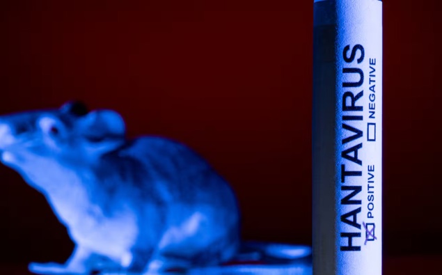 Second Kiwi isolating overseas after cruise ship hantavirus exposure