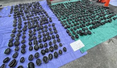 Man took 486 pāua from reserve near Kaikōura