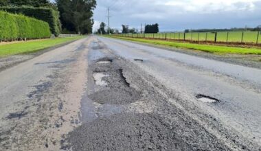 Two injured, cattle killed in truck crash on 'potholed' Canterbury road