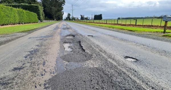 Two injured, cattle killed in truck crash on 'potholed' Canterbury road