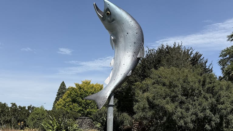 The Rakaia Salmon statue is a well-known tourist attraction in Canterbury.