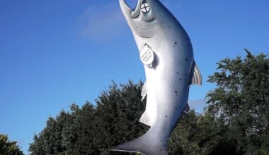 Man charged with vandalising the Rakaia Salmon statue