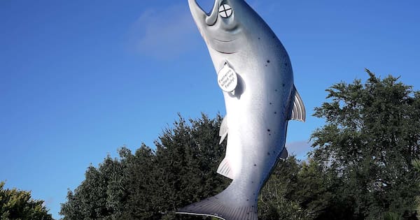 Man charged with vandalising the Rakaia Salmon statue