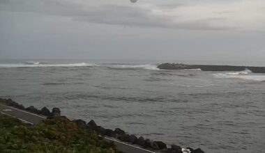 Volunteers die in NSW rescue mission