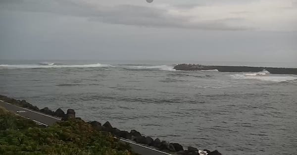 Volunteers die in NSW rescue mission