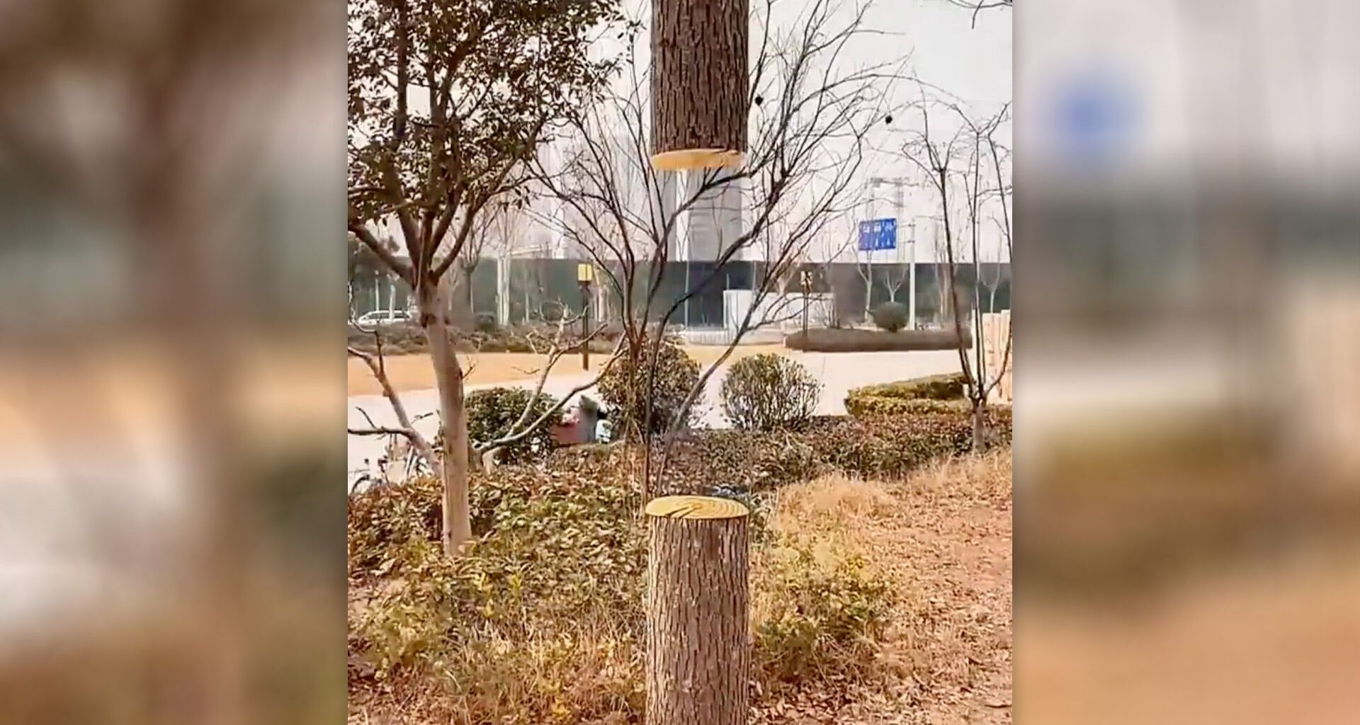 Feng Dengyu optical illusion painting