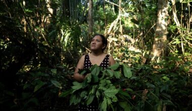 How integrating tradition and self-care has strengthened public health in the Americas