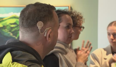 Deaf community marks two decades since official NZSL recognition