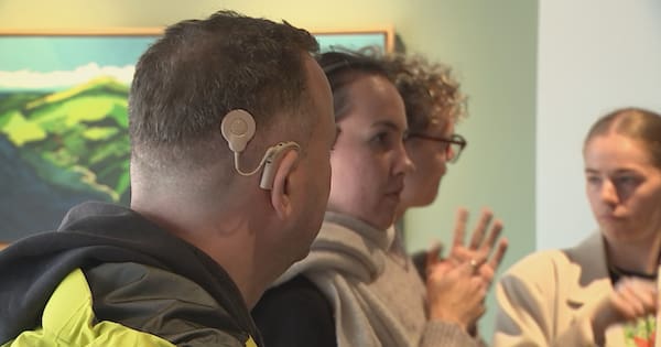 Deaf community marks two decades since official NZSL recognition